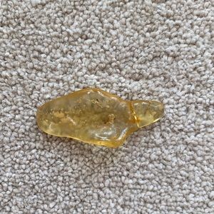 Amber Crystal with Insect